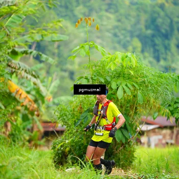Runner Photo 5175565