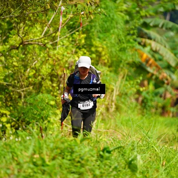 Runner Photo 5175568