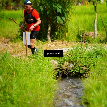 Runner Photo 5175570