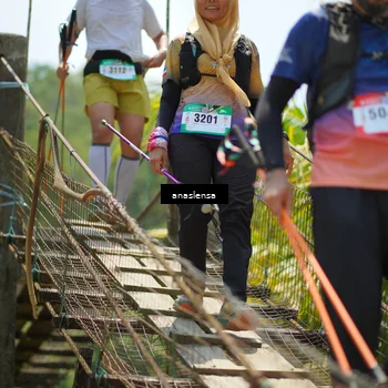 Runner Photo 5175579