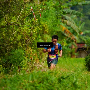 Runner Photo 5175608