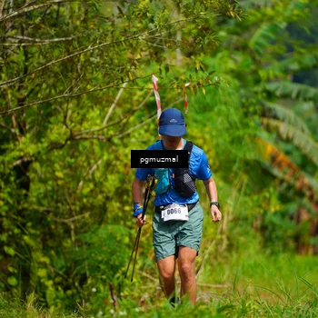Runner Photo 5175609