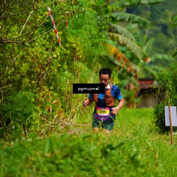Runner Photo 5175623