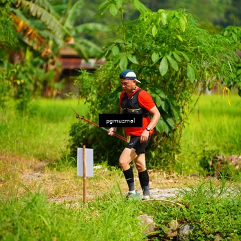 Runner Photo 5175625