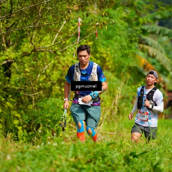 Runner Photo 5175647