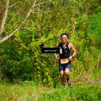 Runner Photo 5175678