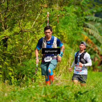 Runner Photo 5175682