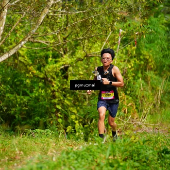 Runner Photo 5175685