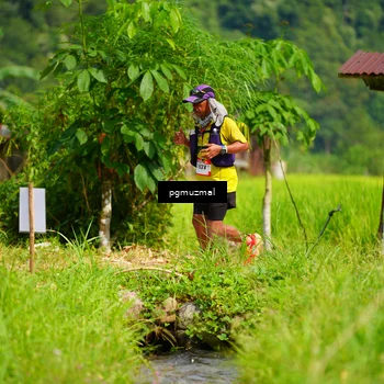 Runner Photo 5175718