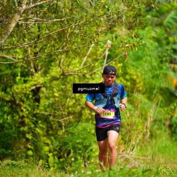 Runner Photo 5175740