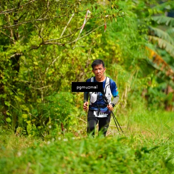 Runner Photo 5175802
