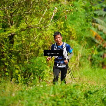 Runner Photo 5175803