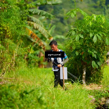 Runner Photo 5175870