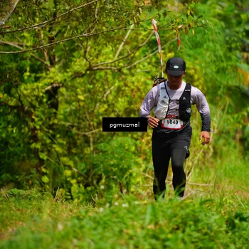 Runner Photo 5175904