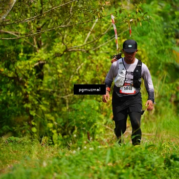 Runner Photo 5175905