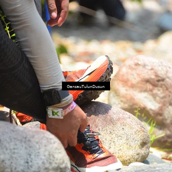 Runner Photo 5175916