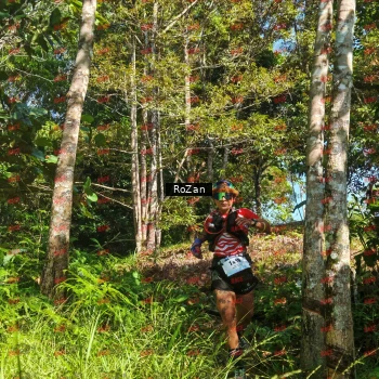Runner Photo 5176