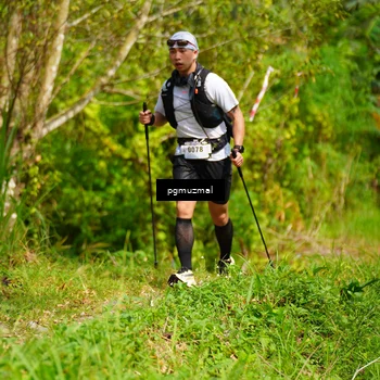 Runner Photo 5176232