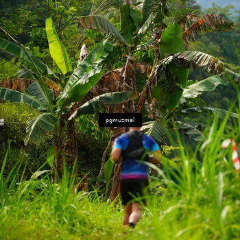 Runner Photo 5176394