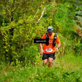 Runner Photo 5176604