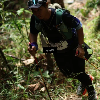 Runner Photo 5176699