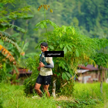 Runner Photo 5176760