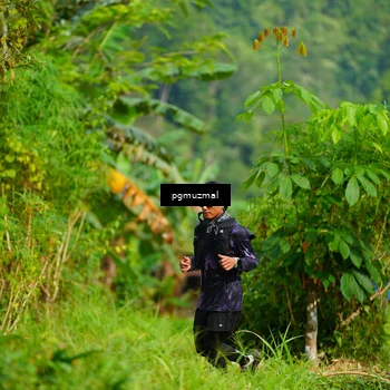 Runner Photo 5176801