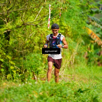 Runner Photo 5176834
