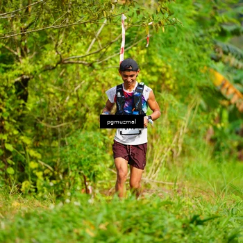 Runner Photo 5176837