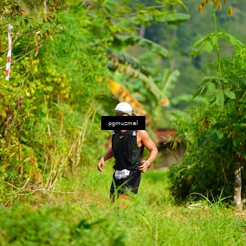 Runner Photo 5176882