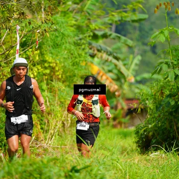 Runner Photo 5176894