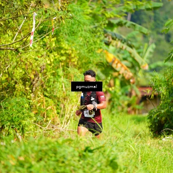 Runner Photo 5176924