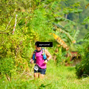 Runner Photo 5176948