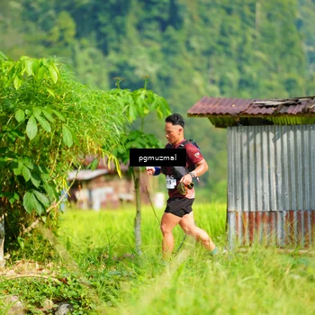 Runner Photo 5176984