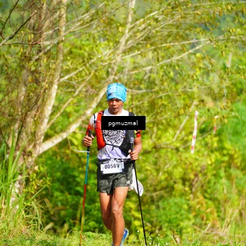 Runner Photo 5177001