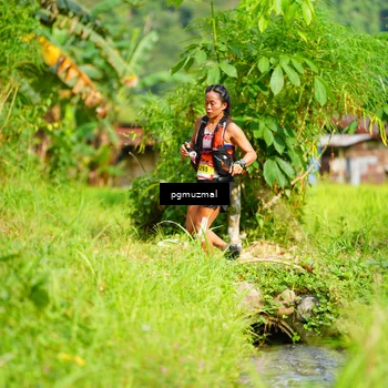 Runner Photo 5177040