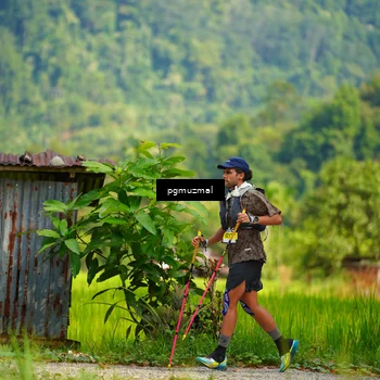 Runner Photo 5177520