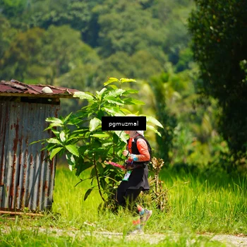 Runner Photo 5177541