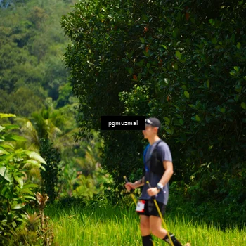 Runner Photo 5177560
