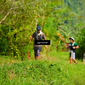 Runner Photo 5177564