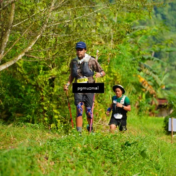 Runner Photo 5177566