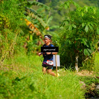 Runner Photo 5177731