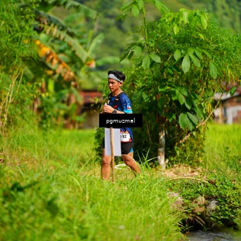 Runner Photo 5177733