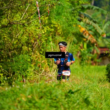Runner Photo 5177738
