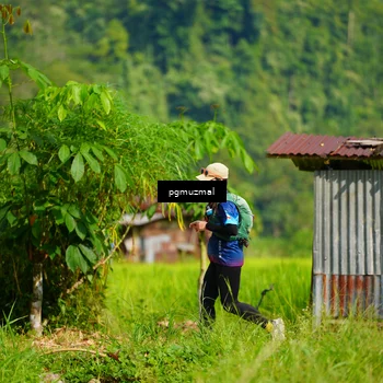 Runner Photo 5177831