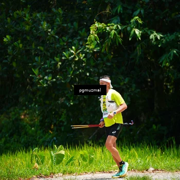 Runner Photo 5177855