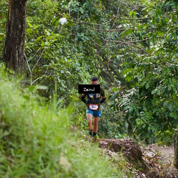 Runner Photo 5177896