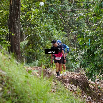 Runner Photo 5177936