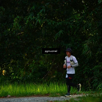 Runner Photo 5177958