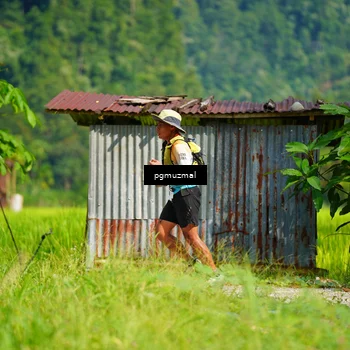 Runner Photo 5177986